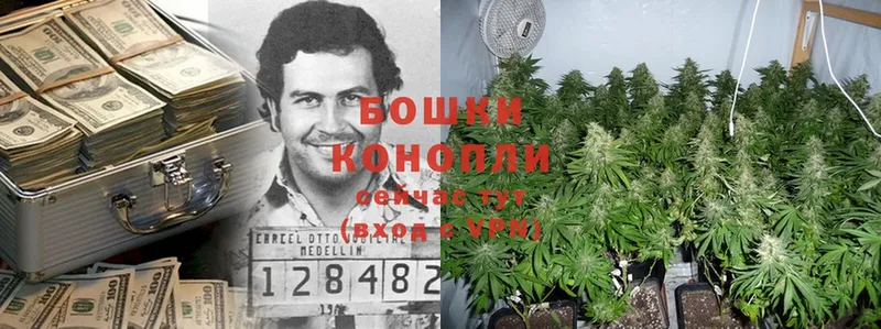 Канабис SATIVA & INDICA  Благодарный 